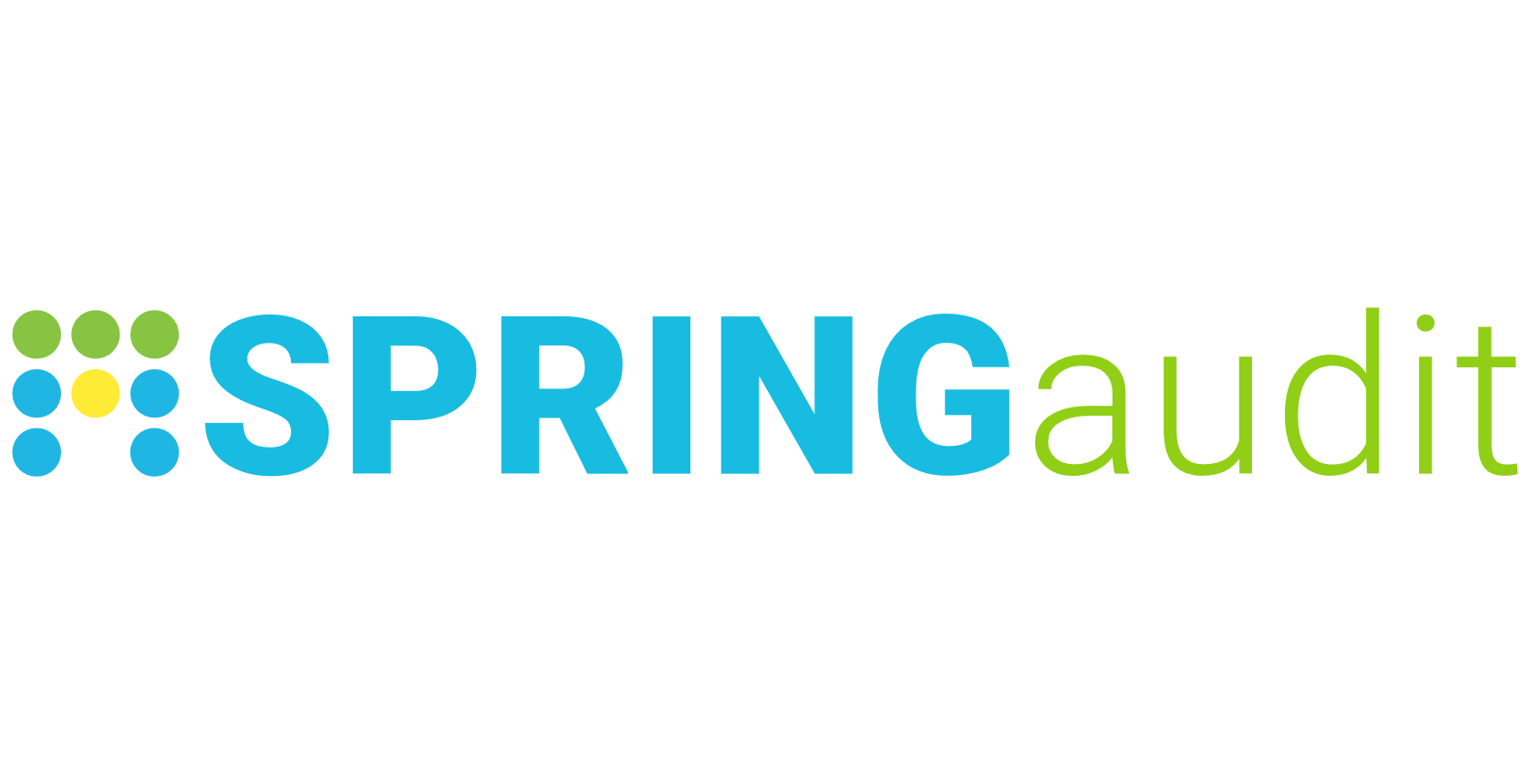 SPRINGaudit